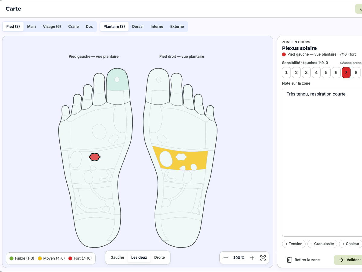 Foot reflex map in a ReflexoDesk session